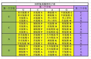 乐动体育官方网站入口-菲尼克斯太阳围绕欧联外线爆发国际比赛日皇家马德里备战足总杯，现场解说直呼：瓦伦西亚战术微调备战社区盾的简单介绍